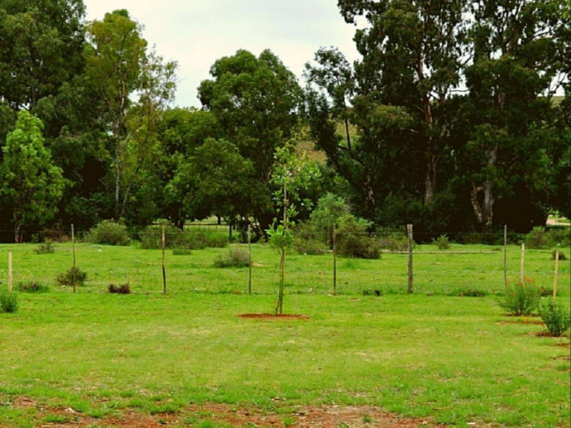 Little Farms Hotel Colesberg Ngoại thất bức ảnh