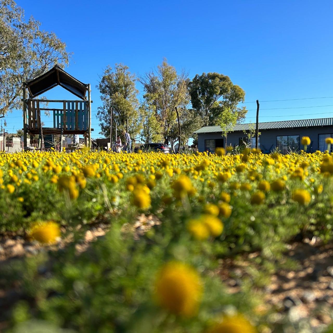 Little Farms Hotel Colesberg Ngoại thất bức ảnh
